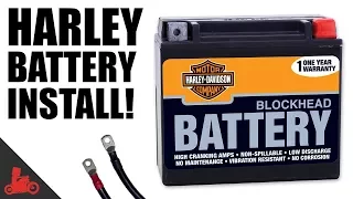 How To Change Battery on Harley Sportster!