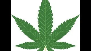 Let's Legalize Marijuana Now!
