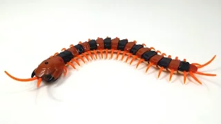 Giant Centipede Scolopendra Creepy-crawly Toy | Kids Infrared RC Remote Control 2951HC