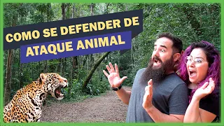 Como se defender do ataque de um animal selvagem no Brasil? - Na prática Ep. 7