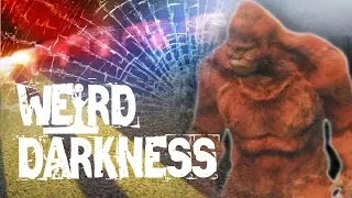 “BIGFOOT CRASHED MY CAR!” and 9 More Scary True Paranormal Horror Stories! #WeirdDarkness