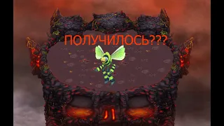 ВЫВЕЛ ЖУЖЖУКА????? ПОЛУЧИЛОСЬ???? | My singing monsters.