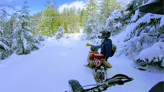 Penny Pines OHV Snow Day Sled Ridge Mendocino National Forest Old Footage Before the Fire 2018