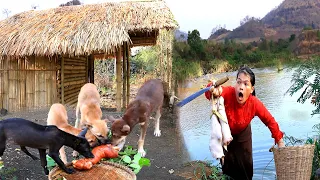 woman find food with dogs meet pig legs -curry pig legs for dog -cooking in forest
