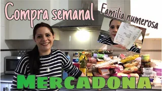 🛒COMPRA SEMANAL🛒 Compra en Mercadona de familia numerosa