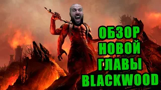 🔴 teso 2021► новая глава blackwood, изменения в teso, новая чемпионка в тесо, система спутников teso