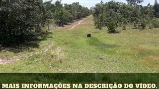 Fazenda à venda em Cocalinho MT