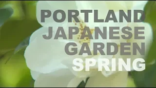 Spring at the Portland Japanese Garden