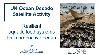 UN Ocean Decade: Resilient aquatic food systems for a productive ocean