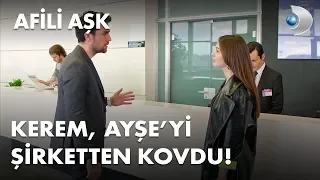 Kerem, Ayşe'yi şirketten kovdu! - Afili Aşk 31. Bölüm