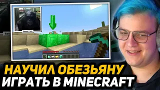 ПЯТЁРКА СМОТРИТ - Я Научил Обезьяну Играть в Minecraft | ChrisDaCow на русском