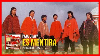 PAJA BRAVA - ES MENTIRA