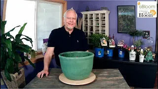 Pollinator Container Gardening with J Schwanke ENGLISH GARDENS