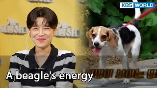 A beagle's energy [Dogs are incredible : EP.133-6] | KBS WORLD TV 220802