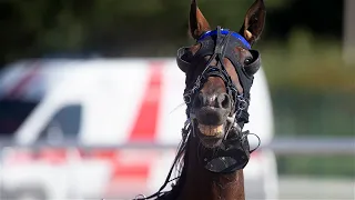 Ristūnų žirgų Baltijos Taurės 2023 lenktynės