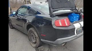 Mustang ready for a Canadian winter. Studded tires on steel rims.