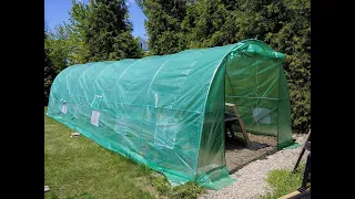 Cheap Amazon Greenhouse Going Strong!