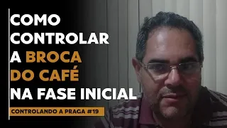 CONTROLANDO A BROCA DO CAFÉ NA FASE INICIAL | AMINTER CARLOS | CONTROLANDO A PRAGA #19