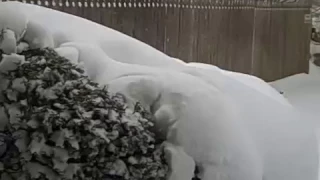 Stormageddon NY 2017 - Clearing the Snow