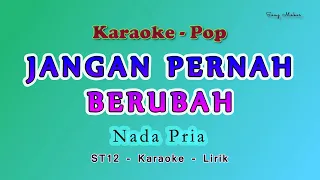 Jangan Pernah Berubah - KARAOKE NADA PRIA - ST12 - Setia Banda - Charly Van Houten- Pop