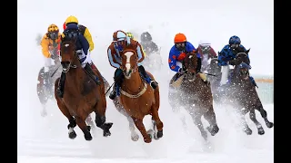 St Moritz White Turf Tour 2023 - Venatour Racing Packages