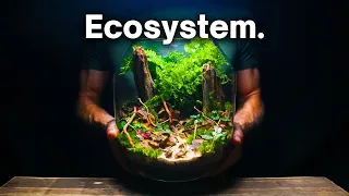 Creating a Beautiful Terrarium Ecosystem: A Step By Step Guide