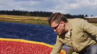 How to Harvest Cranberries