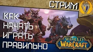 Как начать играть в WoW? World of Warcraft официальный сервер