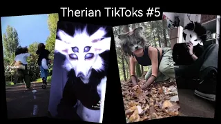 Therian TikTok Compilation #5