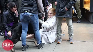 Nicole Kidman Pets A Dog Before It Stands Over Her At The "Babygirl" Set In NYC - 28 Feb 2024