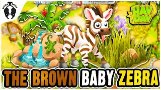 Hay Day-Brown Baby Zebra and NEW Decorations!!