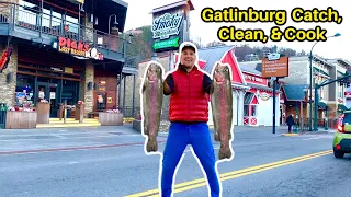 Catching Trophy Fish In Downtown Gatlinburg! **Catch, Clean, and Cook**