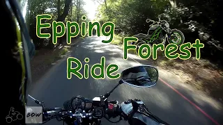 Epping Forest Ride