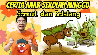 Cerita Anak Sekolah Minggu : Semut dan Belalang