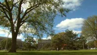 MSUToday: Campus Arborist