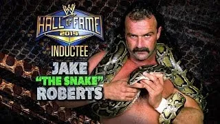 2014 WWE Hall of Fame Inductee: Jake "The Snake" Roberts: Raw, Jan. 27, 2014