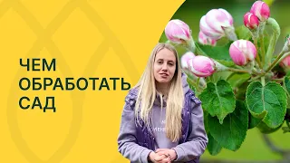 Не пропустите эти обработки сада!