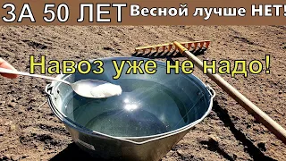 1 Ложку на ведро воды и Весной земля как новая, пролейте этим землю для обильного урожая