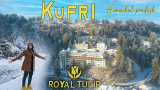 Kufri Snowfall - A beautiful hill station near Shimla Himachal || Royal Tulip Luxury rooms and Suite