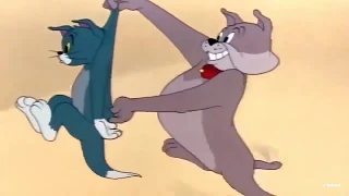 Tom and Jerry Episode #100 / Том И Джерри Эпизод #100