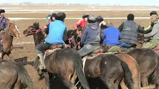 Төле би ауданы Қаратөбе ауылы Жігердің елден бата алу Көкпары 23 02 2020 жыл 2 бөлім