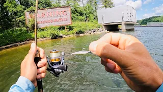 4 Hours of RAW and UNCUT Ultralight Fishing with Gulp Minnows | Melton Hill Dam