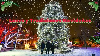 캐나다의 크리스마스 🇨🇦 🎄 | 크리스마스 조명 + 기타 전통 ☃️