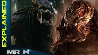 The Super Predator Yautja Explained