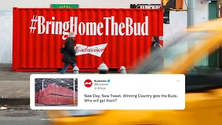 Budweiser - Bring Home The Bud (case study)