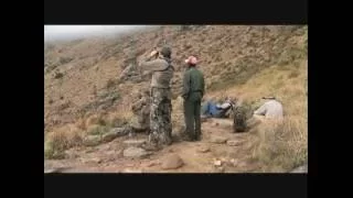 Baboon Hunting in South Africa - Baboon falls off of mountain like King Kong after a 573 yard shot.