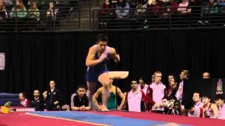 Sean Melton - Vault Finals - 2012 Kellogg's Pacific Rim Championships