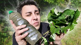 Rendre L'EAU POTABLE avec des PLANTES sauvages !