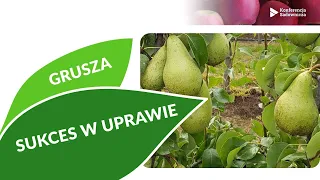 Kilka faktów decydujących o sukcesie w uprawie konferencji. Konferencja Sadownicza