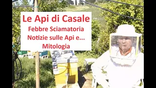 Controllo Febbre Sciamatoria, Notizie sulle Api e .... Mitologia